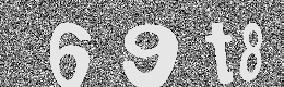 Verification image