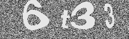 Verification image