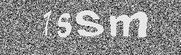 Verification image