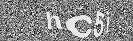 Verification image