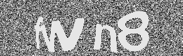 Verification image