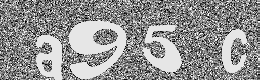 Verification image