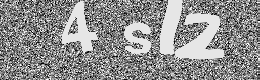 Verification image