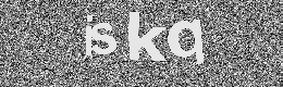 Verification image