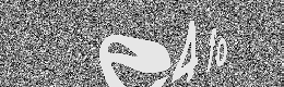 Verification image