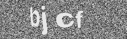 Verification image