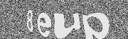 Verification image