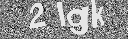 Verification image