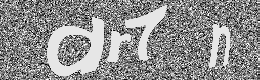 Verification image