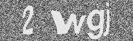 Verification image