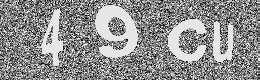 Verification image