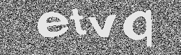 Verification image