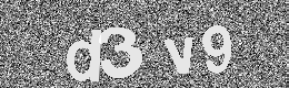 Verification image