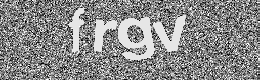 Verification image