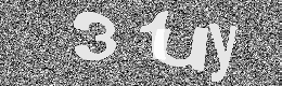 Verification image