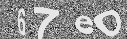 Verification image