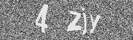 Verification image