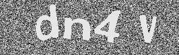 Verification image