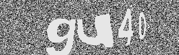 Verification image