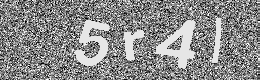 Verification image