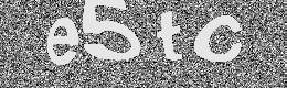Verification image