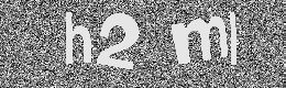Verification image