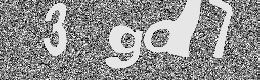 Verification image