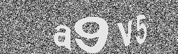 Verification image