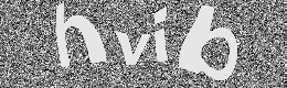 Verification image