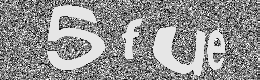 Verification image