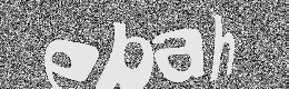 Verification image
