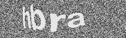 Verification image