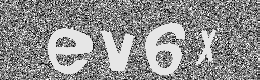 Verification image