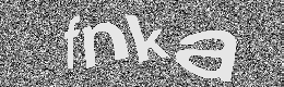 Verification image