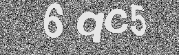Verification image