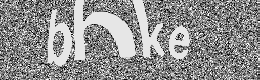 Verification image