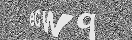 Verification image