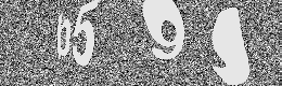 Verification image