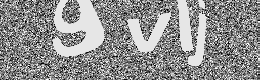 Verification image