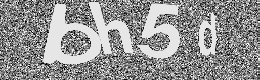 Verification image