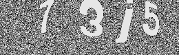 Verification image