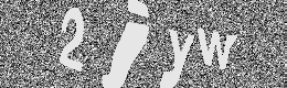 Verification image