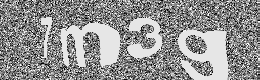 Verification image