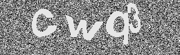 Verification image