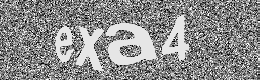 Verification image
