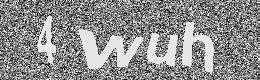 Verification image
