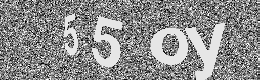 Verification image