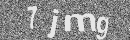 Verification image