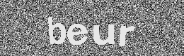 Verification image