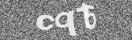 Verification image